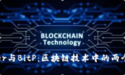深入解析Bither与BitP：区块链技术中的两个重要钱包工具