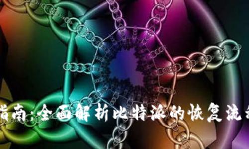 比特派恢复指南：全面解析比特派的恢复流程与常见问题