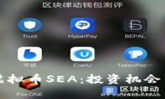 深度解析虚拟币SEA：投资机会与风险评
