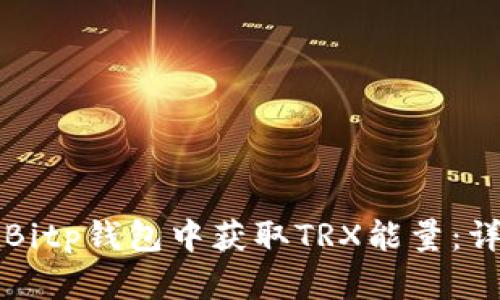 如何在Bitp钱包中获取TRX能量：详细指南