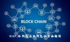 BitP：冷钱包与热钱包的全面解析