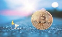 biao ti如何使用B特派EOS钱包在未压缩