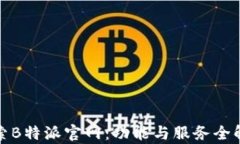 探索B特派官网：功能与服务全解析