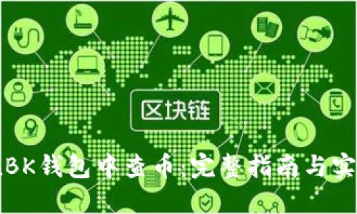 如何在BK钱包中查币：完整指南与实用技巧