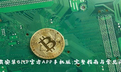 如何下载安装BitP官方APP手机版：完整指南与常见问题解答