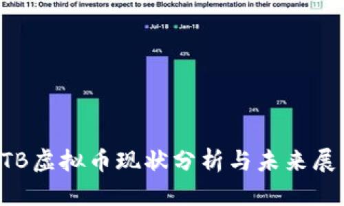 OTB虚拟币现状分析与未来展望