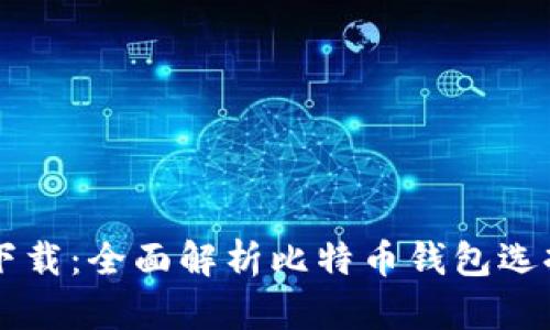 虚拟比特币下载：全面解析比特币钱包选择与使用指南