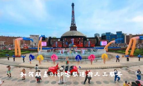 如何联系BitP客服进行人工服务