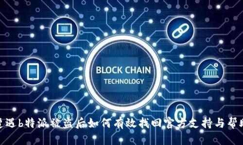 遭遇b特派被盗后如何有效找回官方支持与帮助