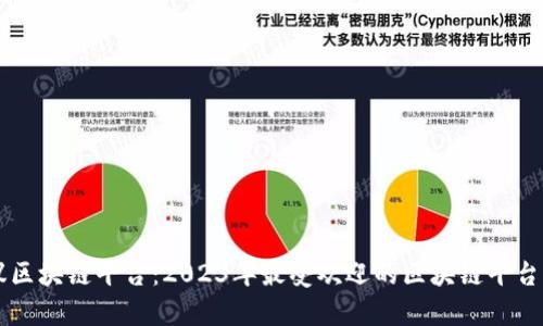 热议区块链平台：2023年最受欢迎的区块链平台解析