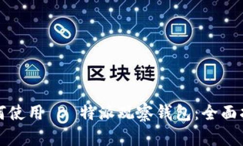 如何使用 B 特派观察钱包：全面指南