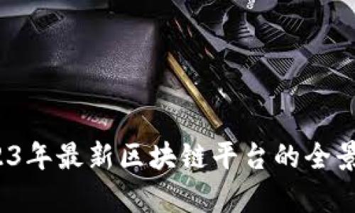 ：2023年最新区块链平台的全景解析