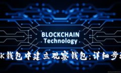 如何在BK钱包中建立观察钱包：详细步骤与技巧