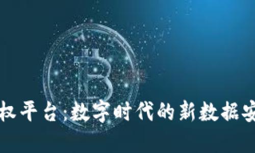 区块链数据确权平台：数字时代的新数据安全与信任机制