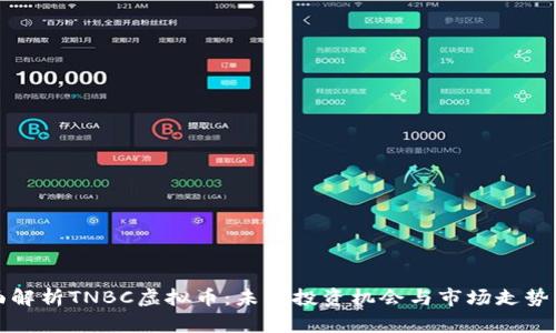 全面解析TNBC虚拟币：未来投资机会与市场走势分析