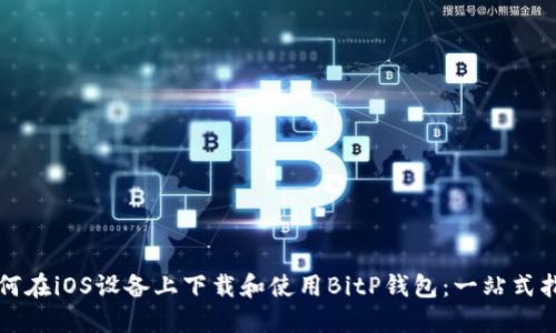 如何在iOS设备上下载和使用BitP钱包：一站式指南