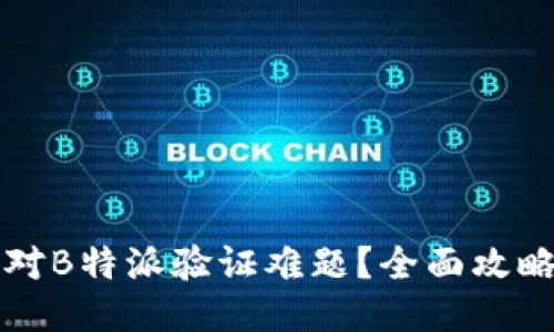 如何轻松应对B特派验证难题？全面攻略与技巧分享