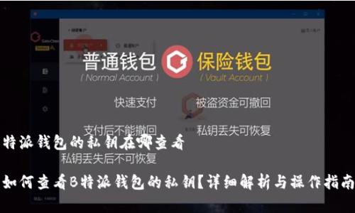 特派钱包的私钥在哪查看  

如何查看B特派钱包的私钥？详细解析与操作指南