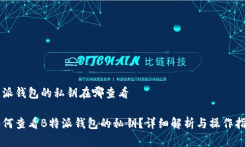 特派钱包的私钥在哪查看  

如何查看B特派钱包的私钥？详细解析与操作指南
