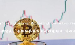 “b特派”这个词的英文翻译可以根据