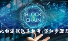 如何更换比特派钱包手机号：详细步骤与注意事