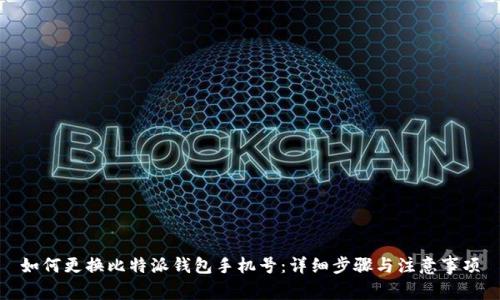 如何更换比特派钱包手机号:详细步骤与注意事项