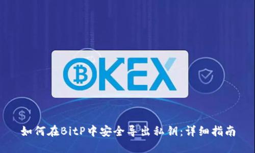 如何在BitP中安全导出私钥:详细指南