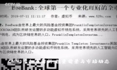 CNNS虚拟币解析：投资前景与市场动态