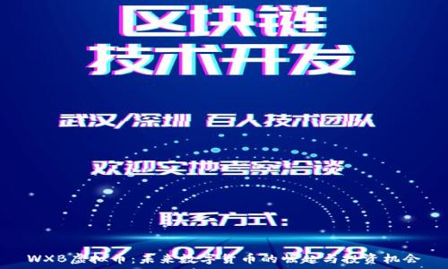WXB虚拟币:未来数字货币的崛起与投资机会