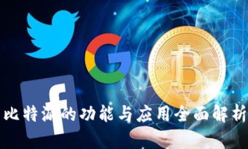 比特派的功能与应用全面解析