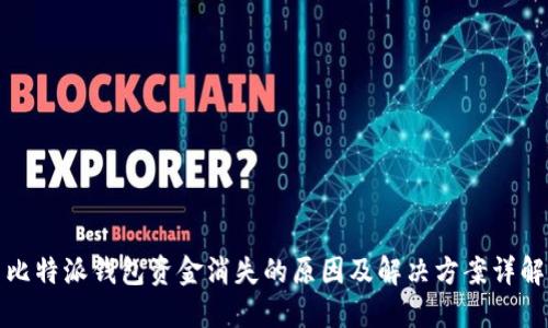比特派钱包资金消失的原因及解决方案详解