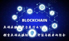 天硕区块链平台是什么公司探索天硕区块链平台