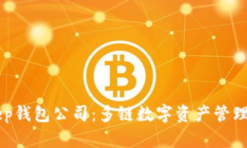 BitKeep钱包公司:多链数字资产管理的未来