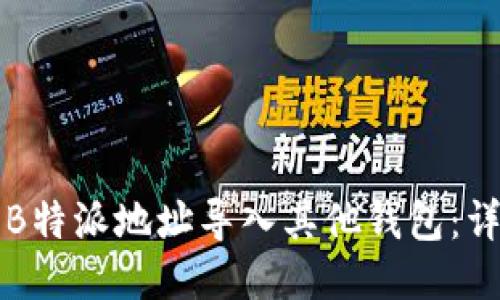 如何将B特派地址导入其他钱包:详细指南
