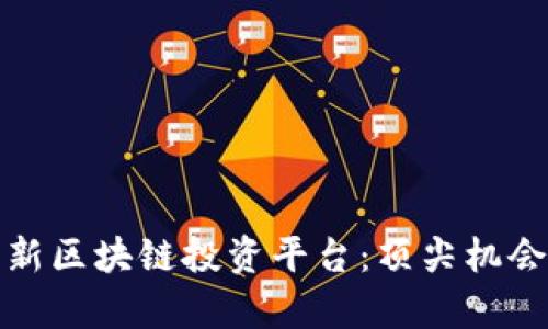 全面解析全新区块链投资平台:顶尖机会与风险前瞻