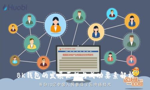BK钱包的发展历程与成功要素解析
