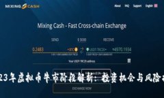 2023年虚拟币牛市阶段解析: 投资机会与