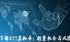 深入了解CYT虚拟币: 投资机会与风险解