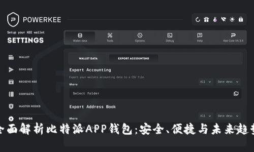 全面解析比特派APP钱包:安全、便捷与未来趋势