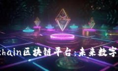 深入解析Monachain区块链平台：未来数字经济的新