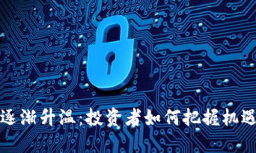 虚拟币逐渐升温:投资者如何把握机遇与风险