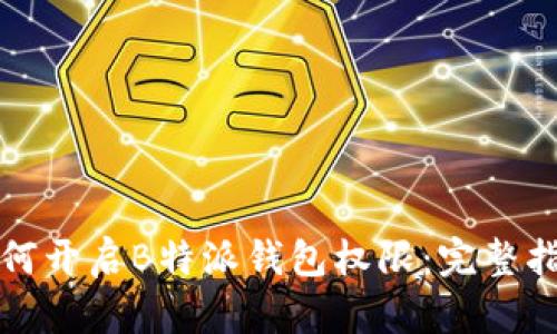 如何开启B特派钱包权限：完整指南