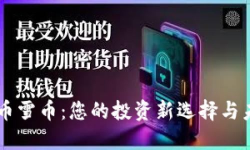 虚拟货币雪币:您的投资新选择与未来展望