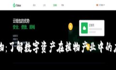 虚拟币植物：了解数字资产在植物产业中的应用
