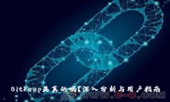 Bitkeep是真的吗？深入分析与用户指南