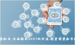 BKBT虚拟币：全面解析BKBT的价值、投资