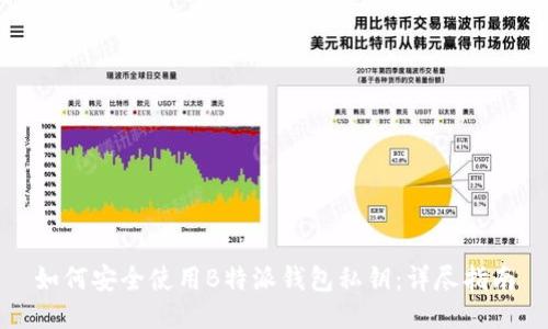 如何安全使用B特派钱包私钥:详尽指南