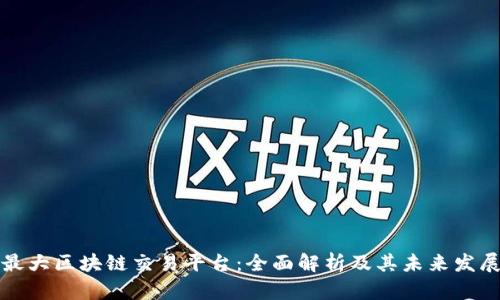 国内最大区块链交易平台:全面解析及其未来发展趋势