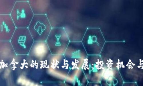 虚拟币在加拿大的现状与发展:投资机会与市场趋势
