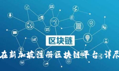 如何在新加坡注册区块链平台:详尽指南